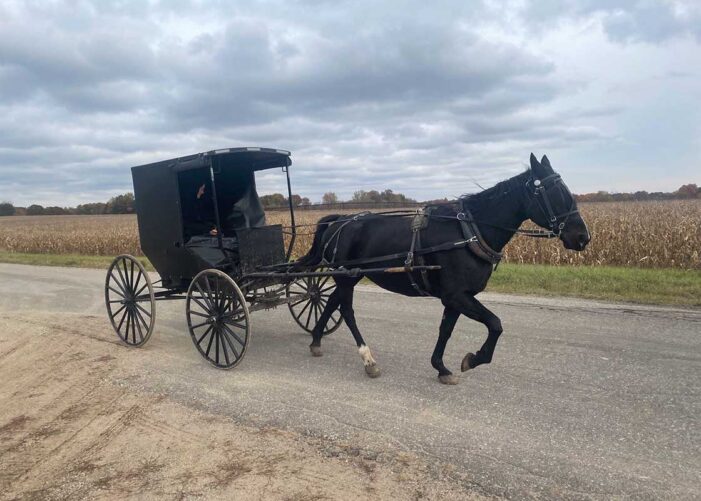 Michigan’s Amish seem to love Trump. But voting is another matter.