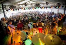 Michigan Irish Music Festival Returns September 15-18