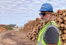Ice storm decimated Michigan’s ‘wood basket,’ meaning tough years ahead