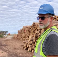 Ice storm decimated Michigan’s ‘wood basket,’ meaning tough years ahead