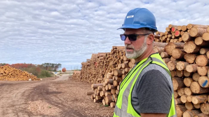 Ice storm decimated Michigan’s ‘wood basket,’ meaning tough years ahead