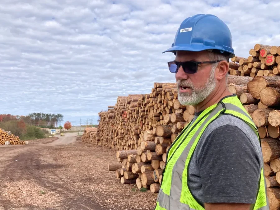 Ice storm decimated Michigan’s ‘wood basket,’ meaning tough years ahead
