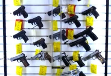 Michigan Republicans push ‘red flag’ gun law repeal: ‘We do not need this’