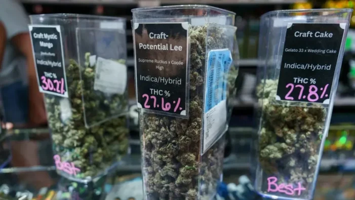 Michigan border towns say ‘enough’ to weed shops