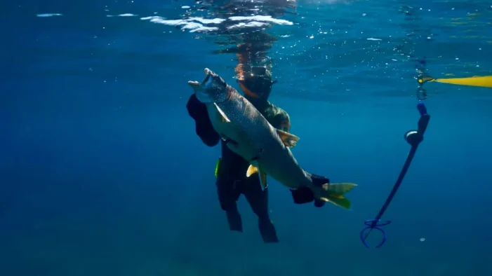 Goose-gassing, spearfishing among Michigan outdoors policy changes in 2025