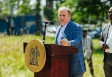 Detroit plans neighborhood solar fields to capture light from blight