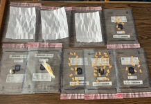 Muskegon woman implicated in UP prison smuggling plot